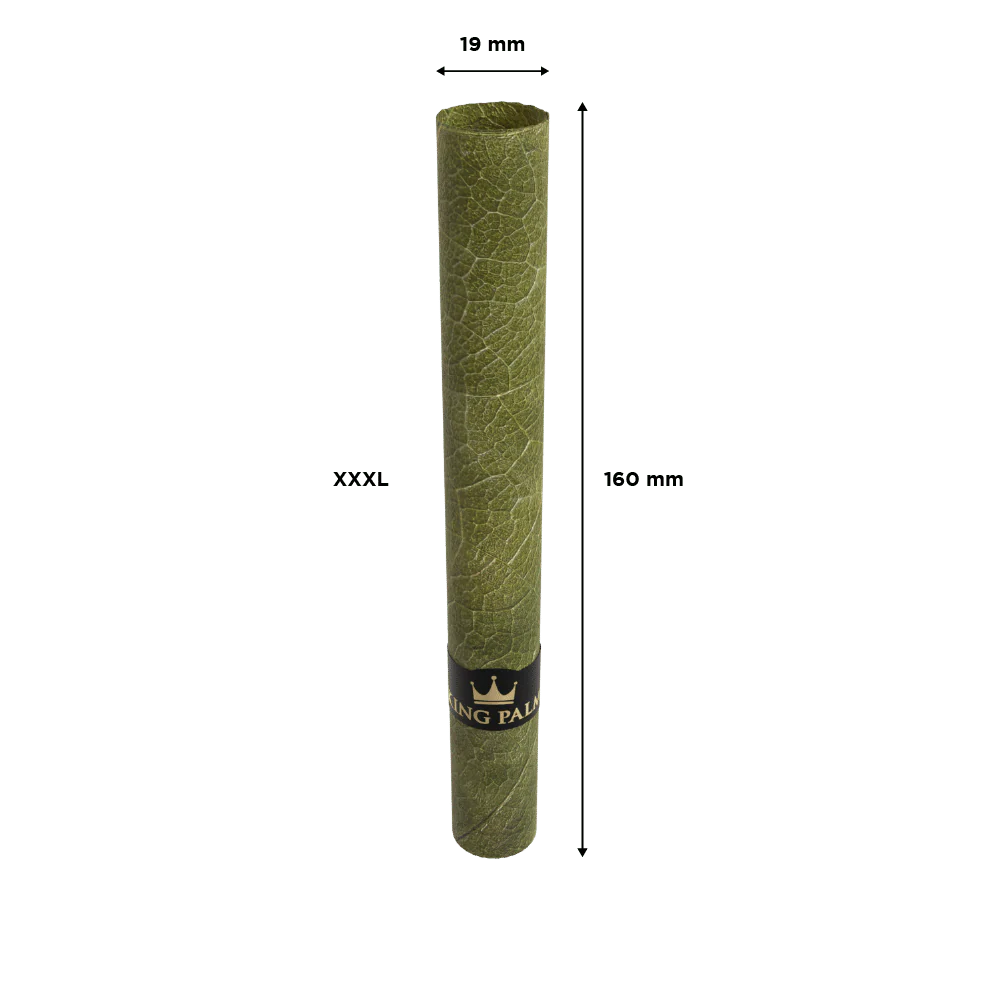 5 XXXL Bundle - Image 4