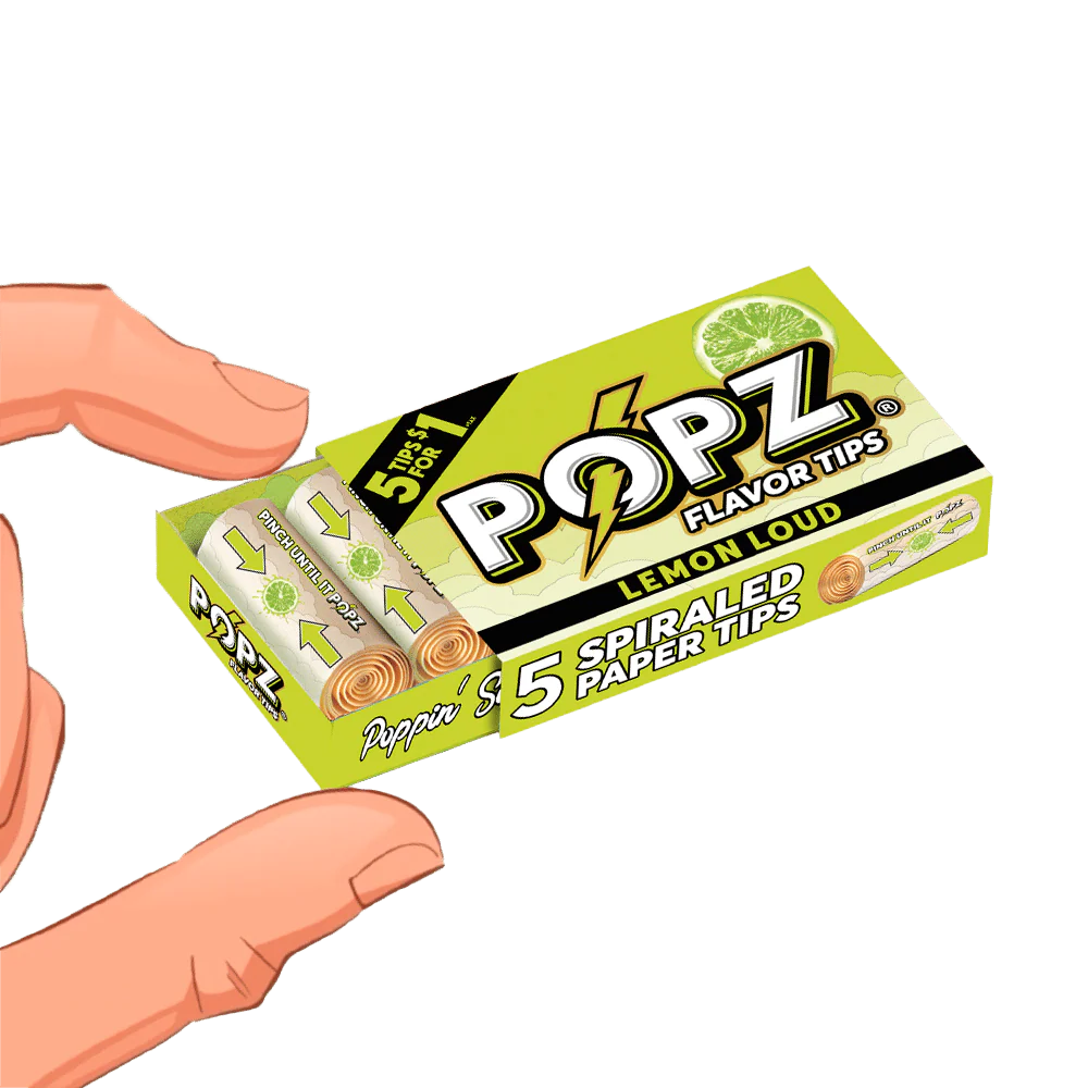 5 Spiral Paper Tips | 3 Flavors Available - Image 4