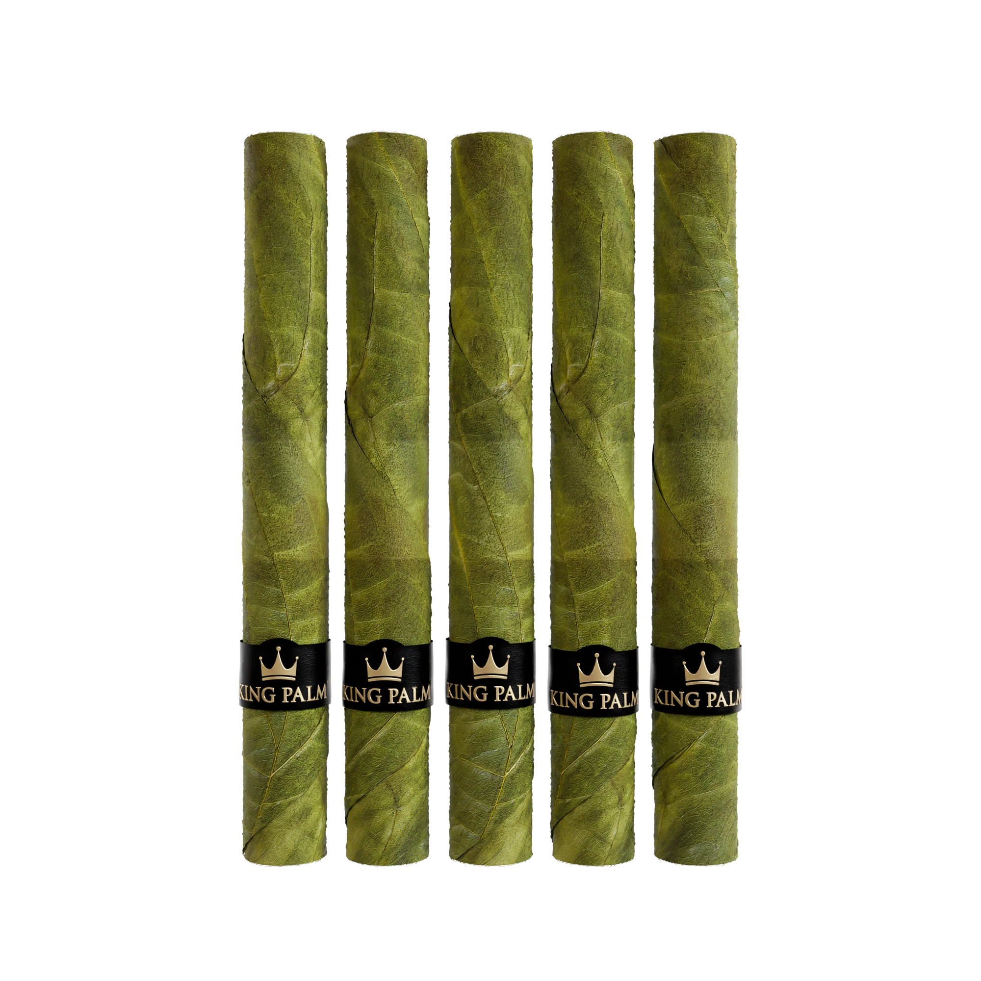 5 XXXL Bundle