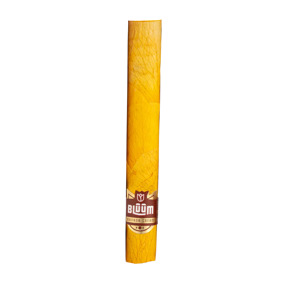 Gold Rose - Banana Cream - Image 3