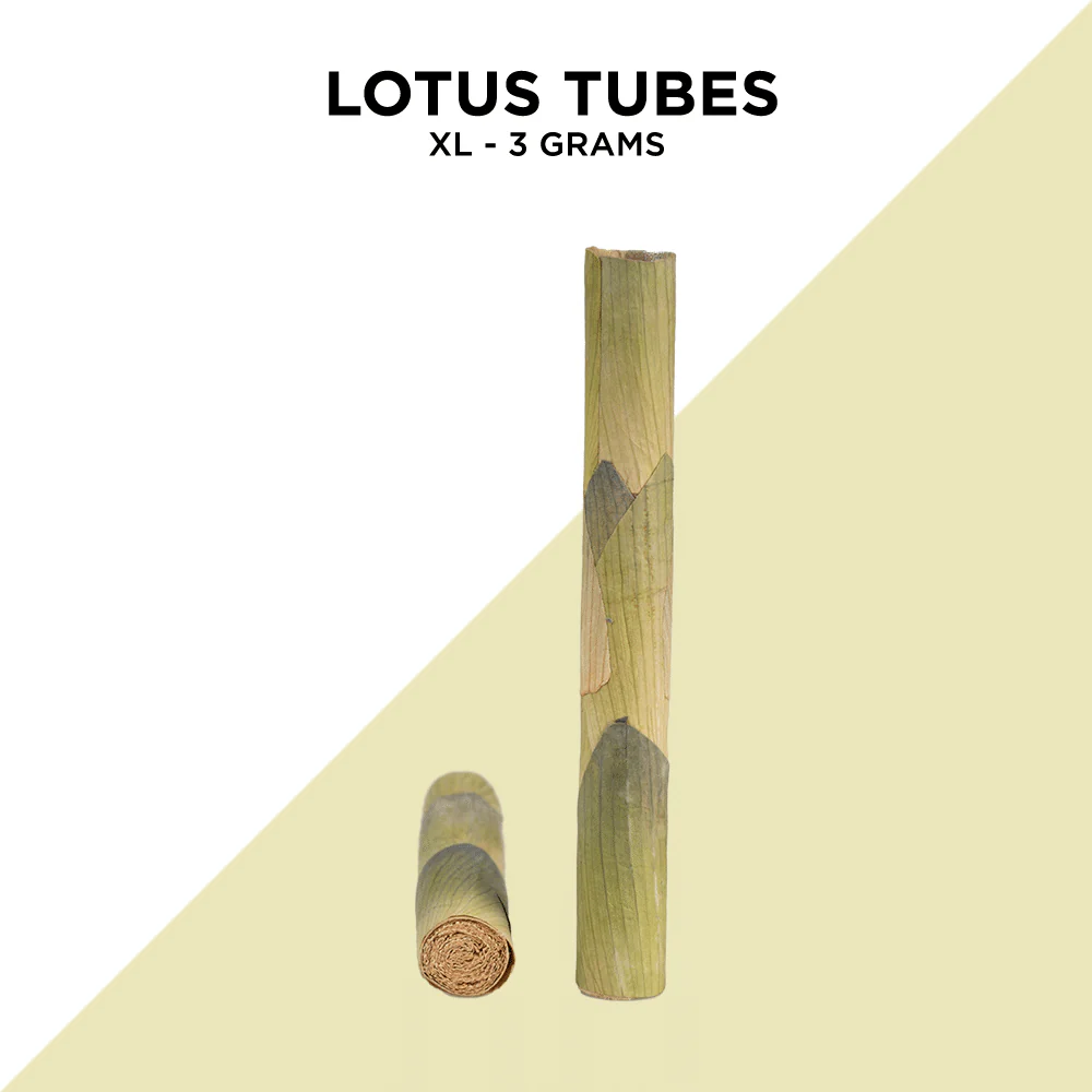 Single Lotus Tubes - 3 Sizes Available - Image 13