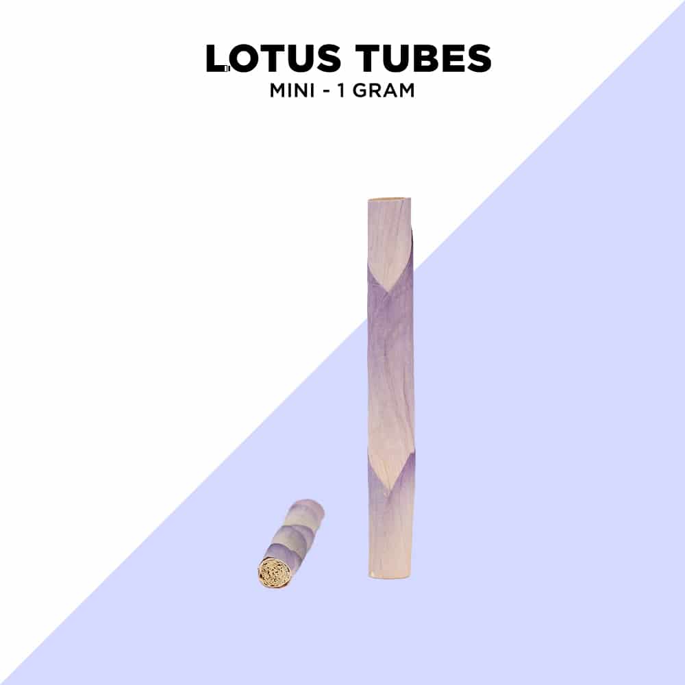 Single Lotus Tubes - 3 Sizes Available - Image 8