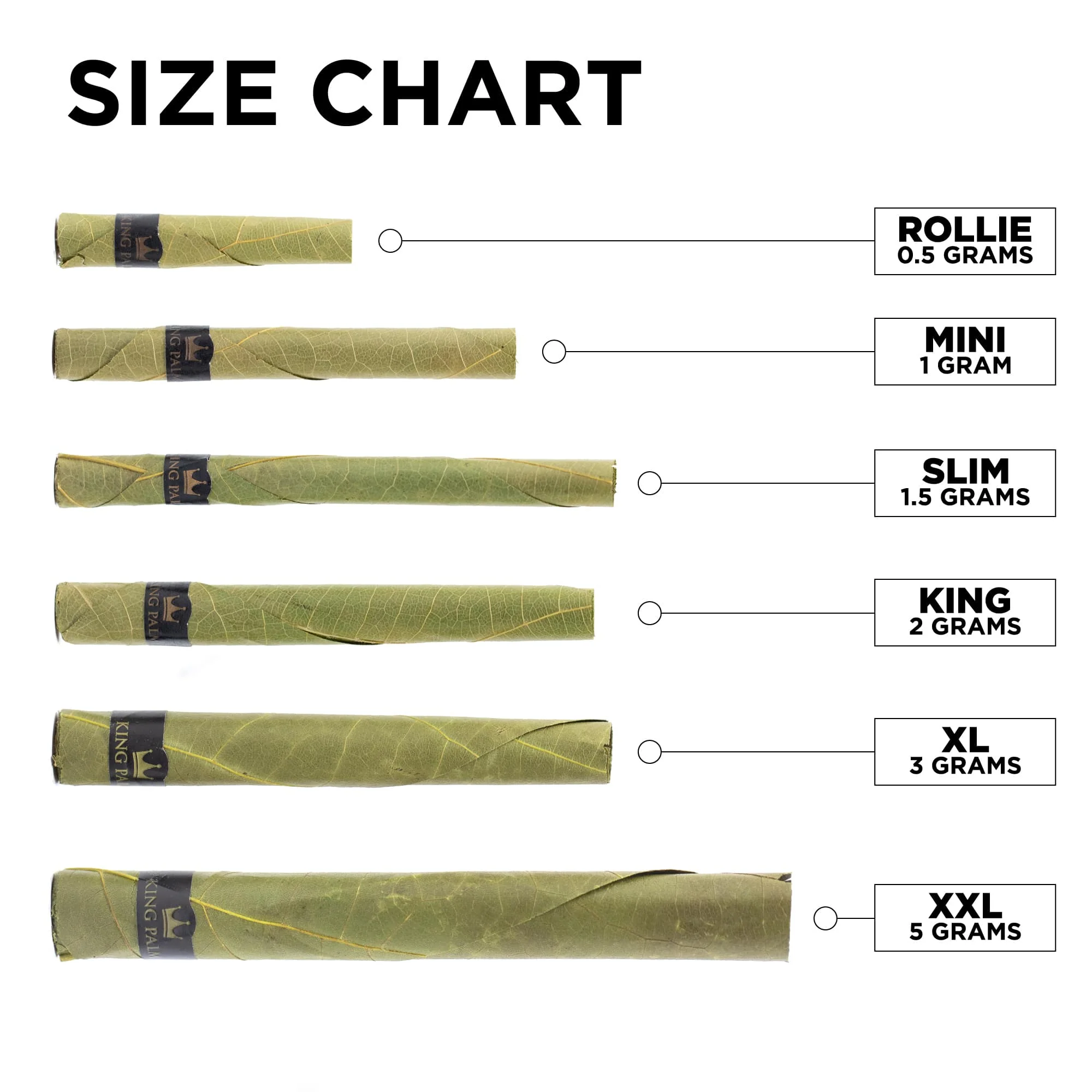 100 XL Rolls - Image 3