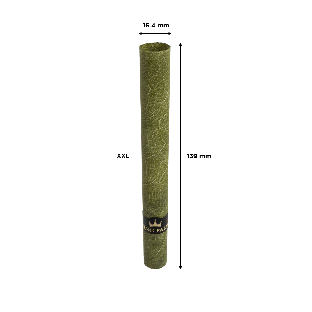 1 XXL Roll - Image 4